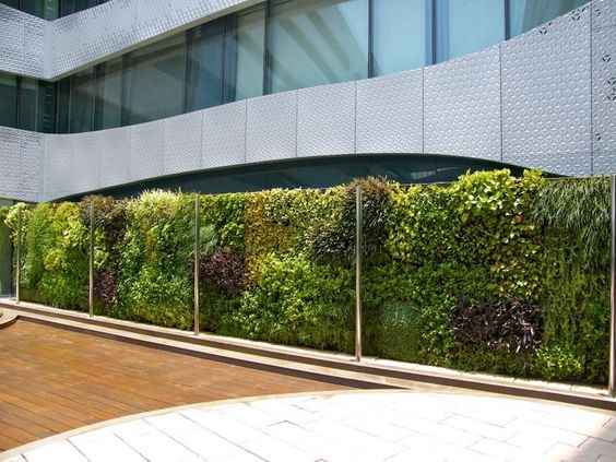 Elite-wall6_11zon