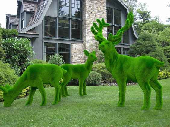 Paw-Safe pet-friendly artificial grass installed in a Perth backyard